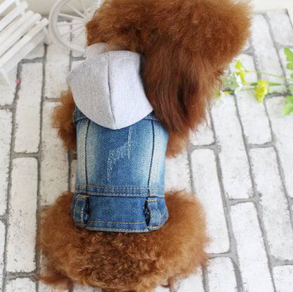 Dog Clothes
