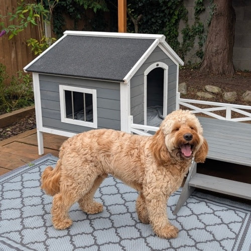 Dog House