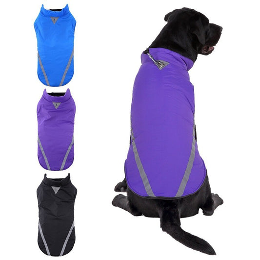 large dog jacket