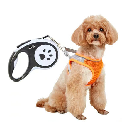 Dog Leash