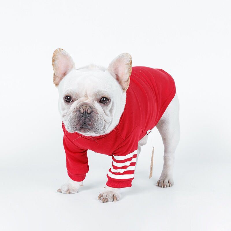 Dog Sweater