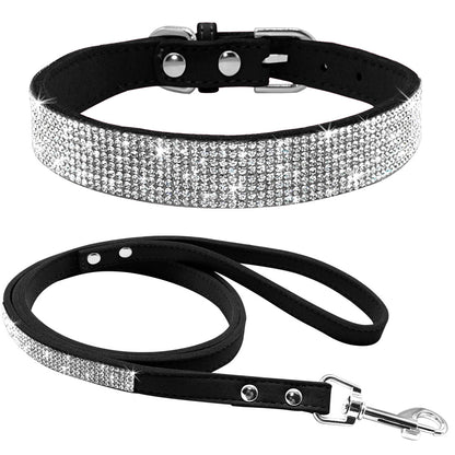 dog collar