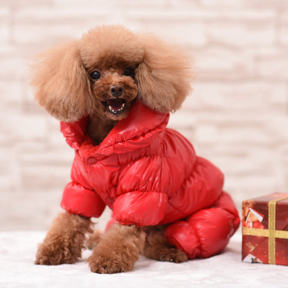 Dog Clothes