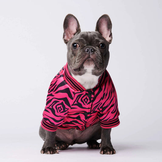 Dog jacket