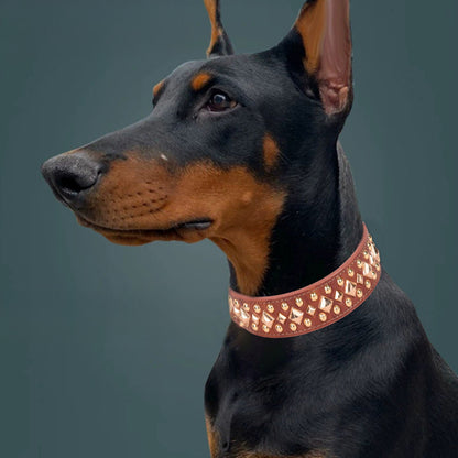 Leather Collar