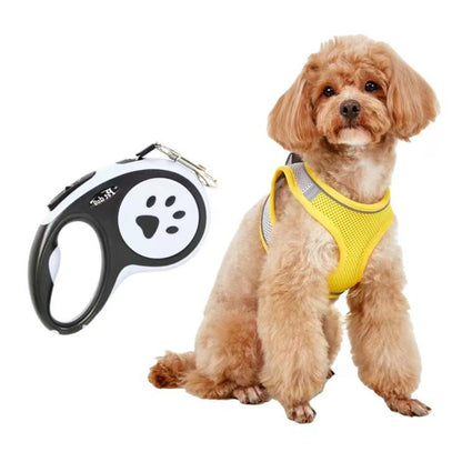 Dog Leash