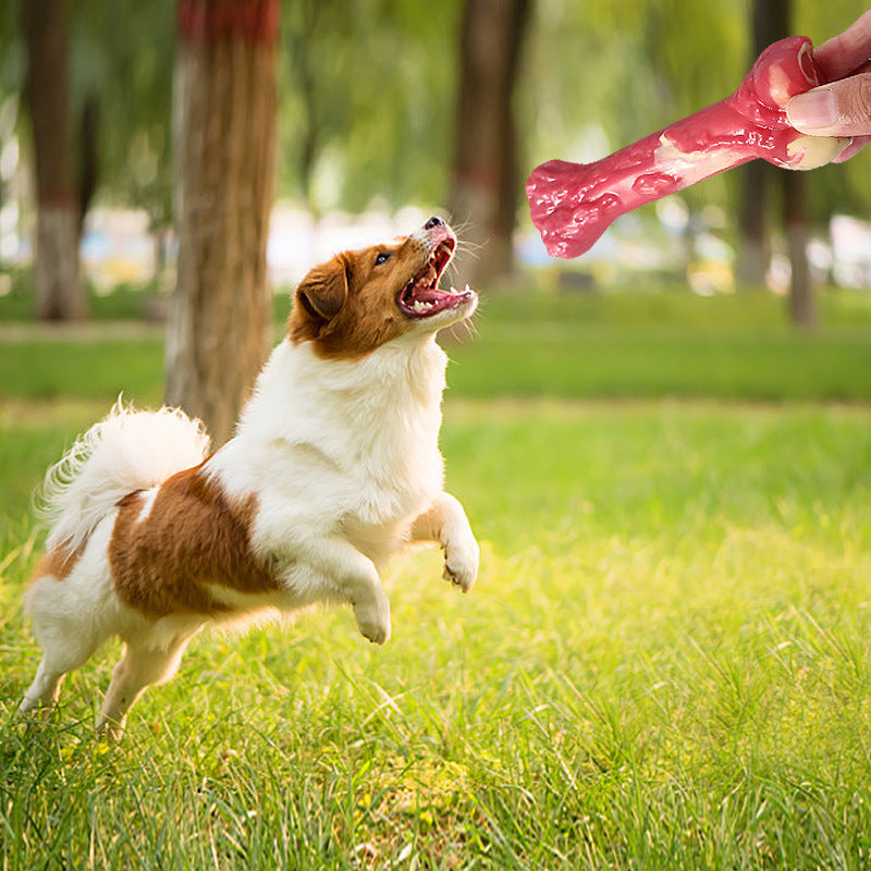Dog Toy