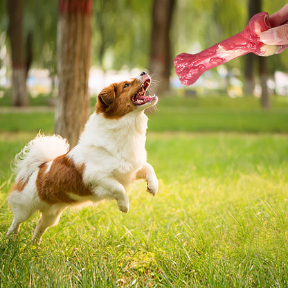 Dog Toy