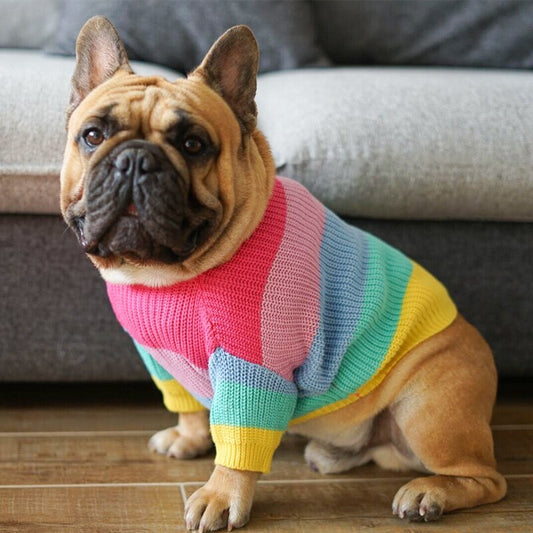 Dog Sweater