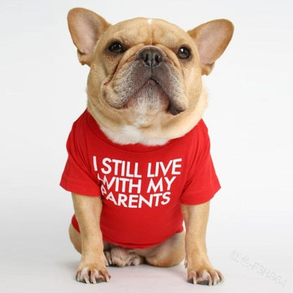 Dog T-shirt