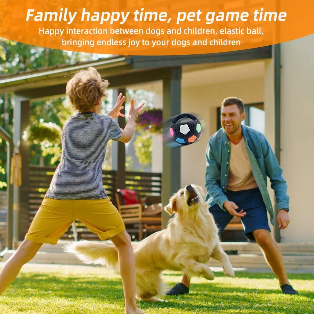 Tennis Ball Dog Toy