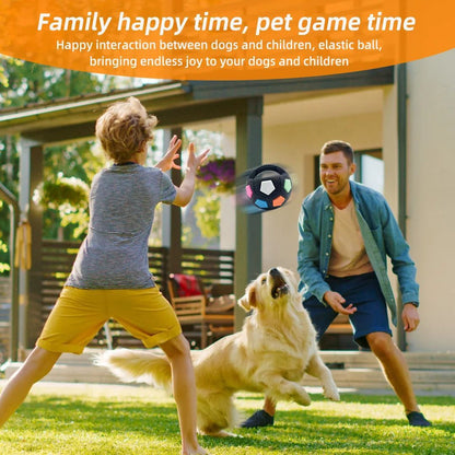 Tennis Ball Dog Toy