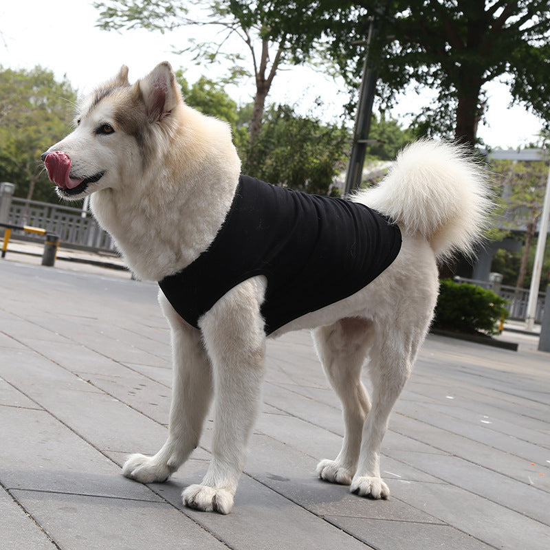 Dog Tshirt