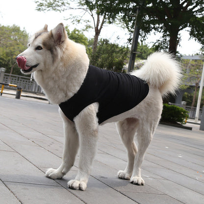 Dog Tshirt