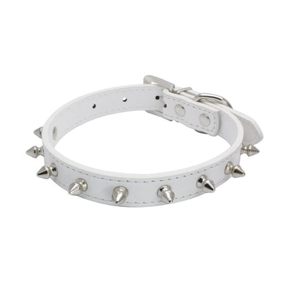Dog Leash