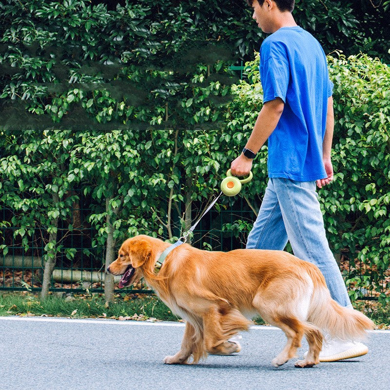 Dog Leash