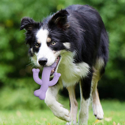Dog Toy