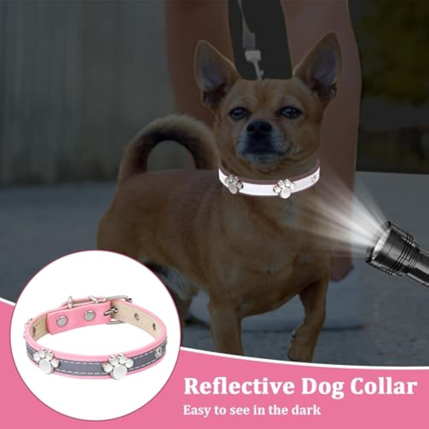 Dog Collar