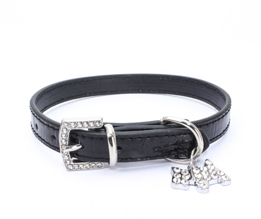 dog collar