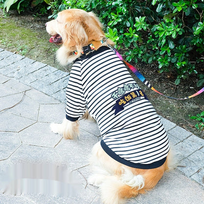 Dog Clothes