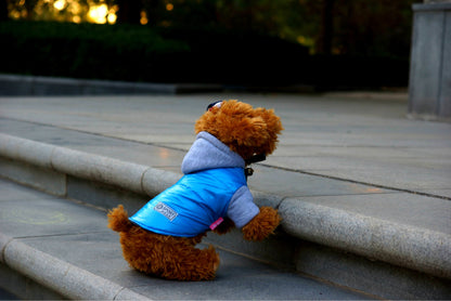 Dog clothes