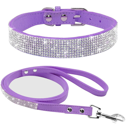 dog collar