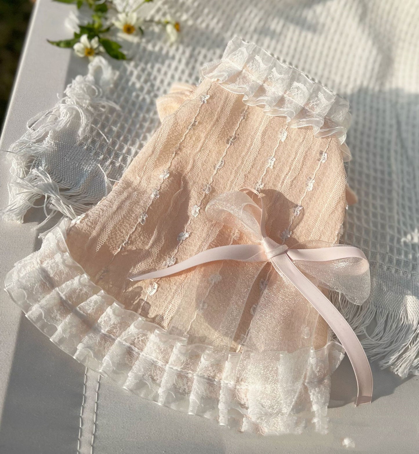 Chiffon Lace Bow Princess Dress Pet