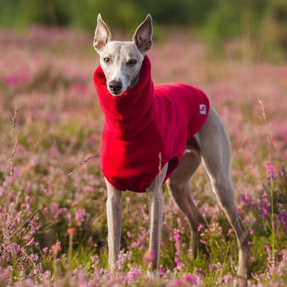 Dog Clothing