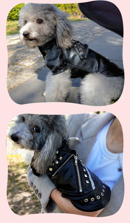 Pet Leather Coat Dog Fashion Brand Clothes Korean Style Autumn And Winter Cat Teddy Chihuahua Winter Clothing