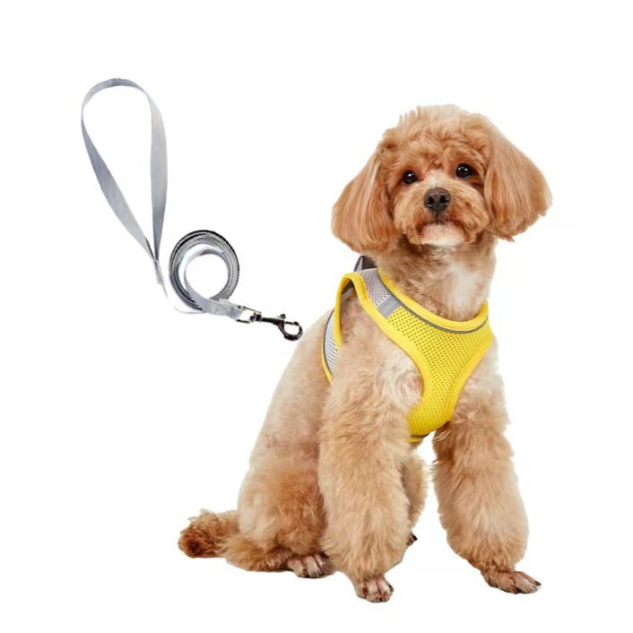 Dog Leash