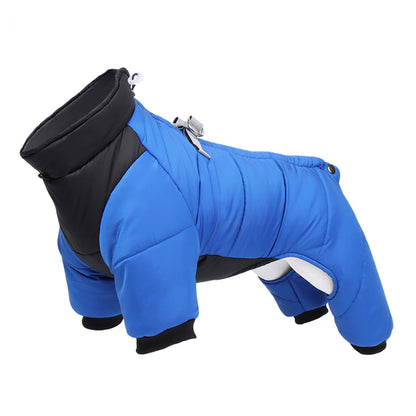 Winter Dog Clothes