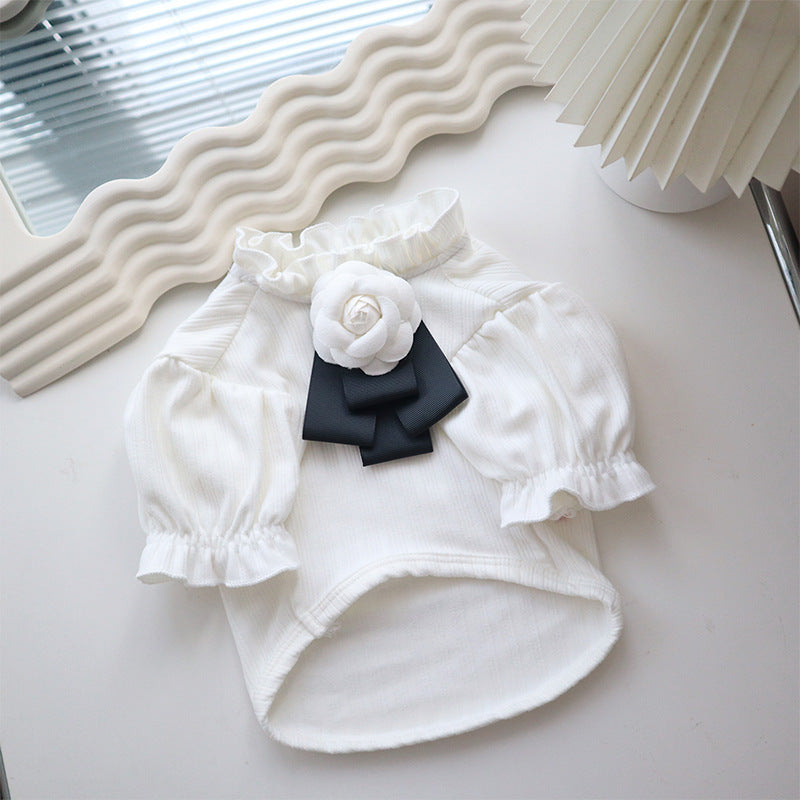 Dog Clothing