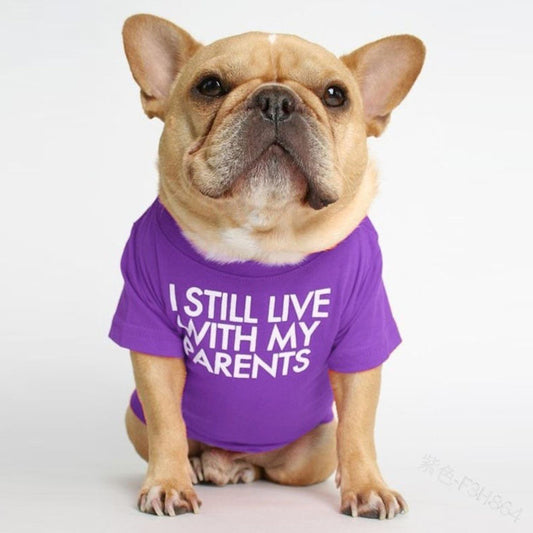 Dog T-shirt