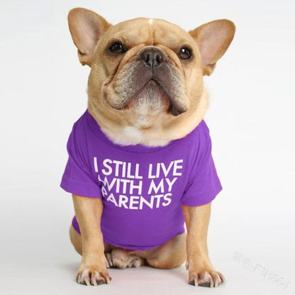 Dog T-shirt