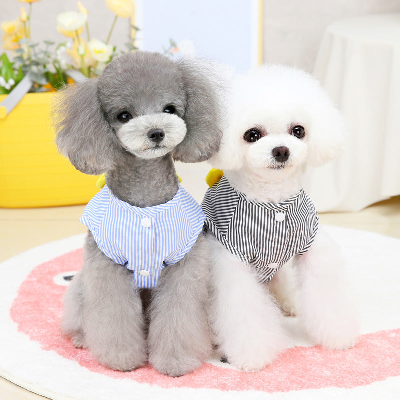 Fashion Personalized Dog vest