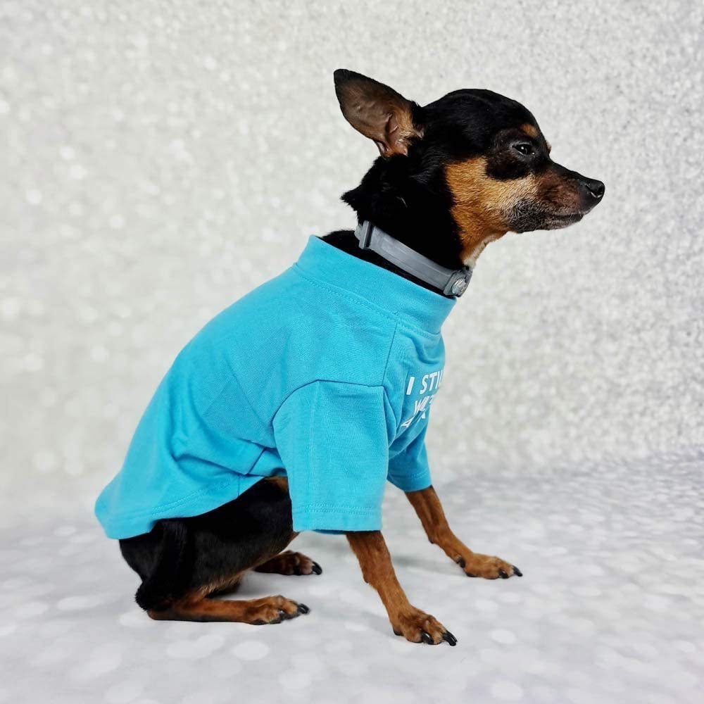 Dog T-shirt
