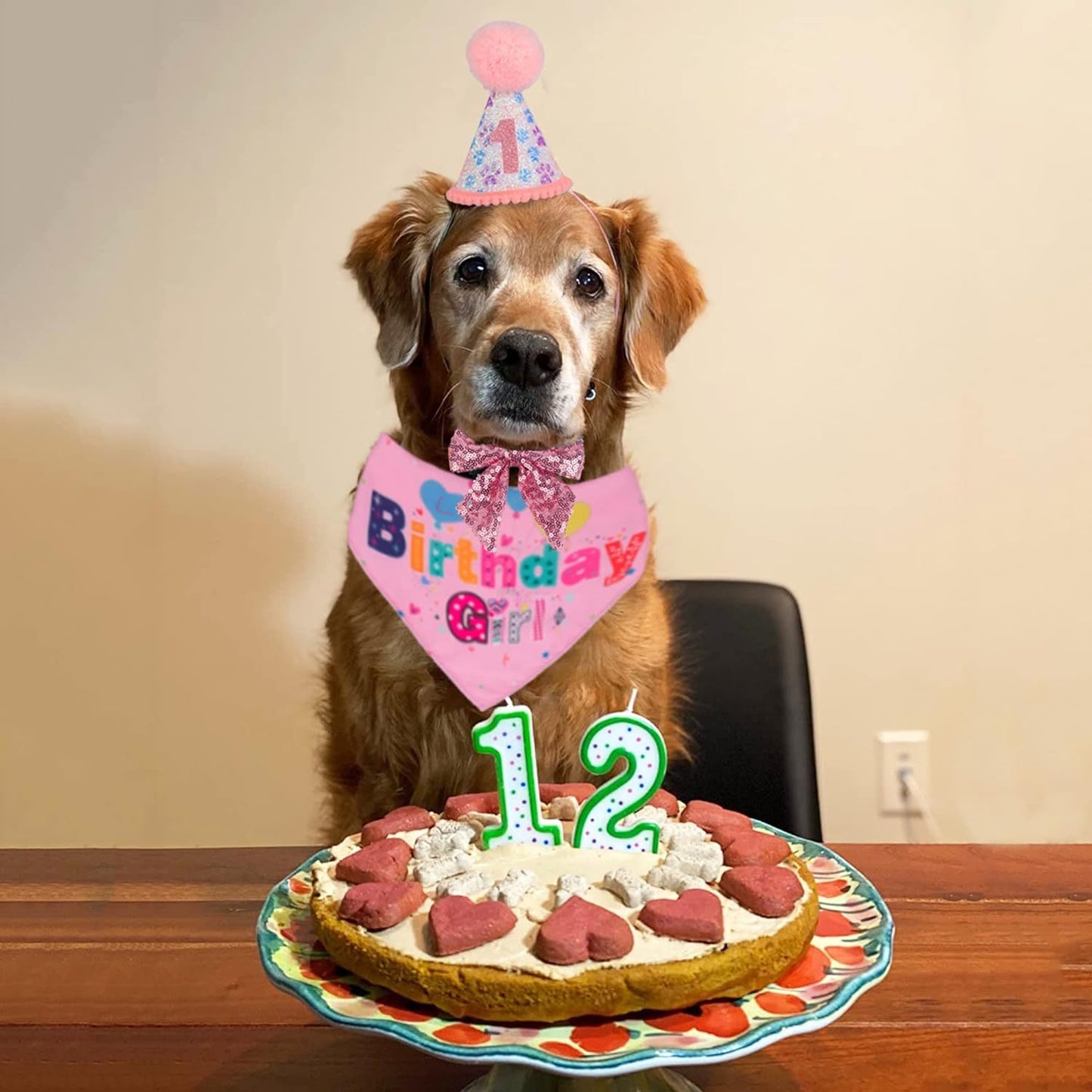Dog Birthday Party