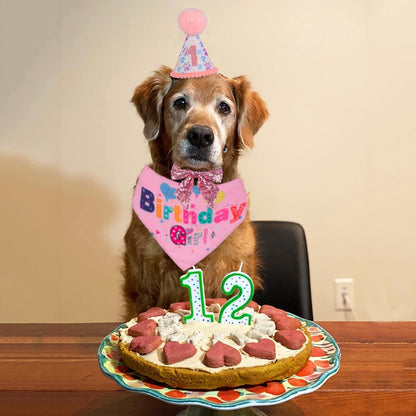 Dog Birthday Party