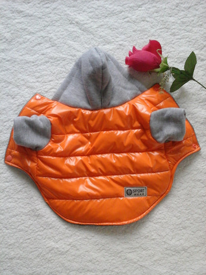 Dog clothes