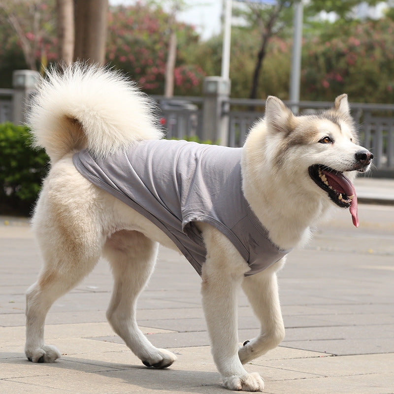 Dog Tshirt