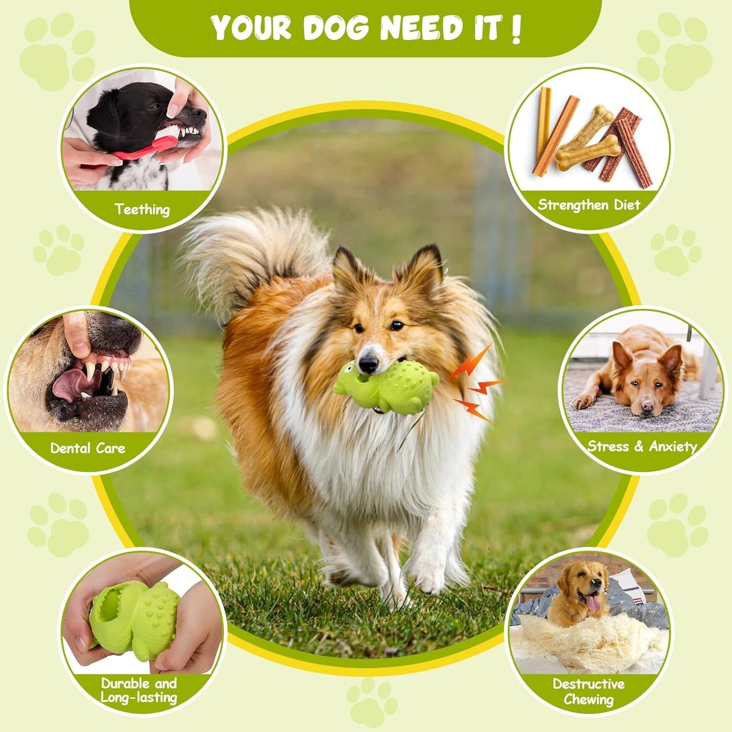 Dog Toy