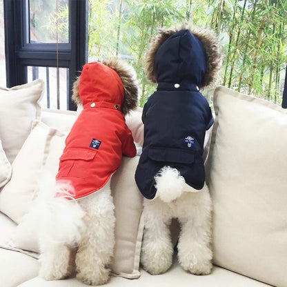 Dog Clothing