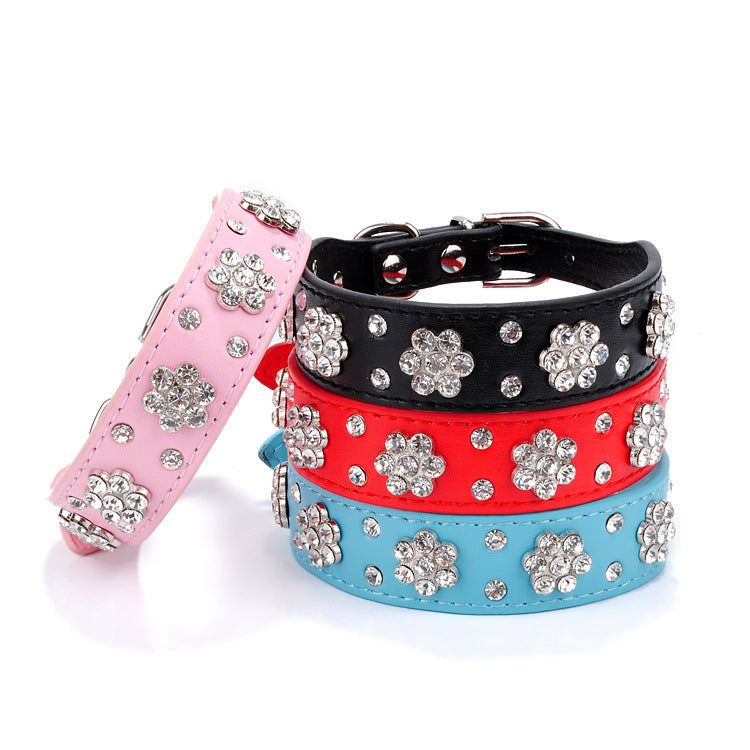 Dog Collar