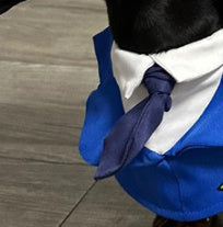 Dachshund Dog Halloween Suit