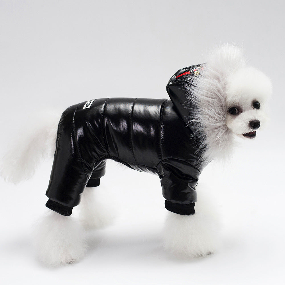 Dog Clothes