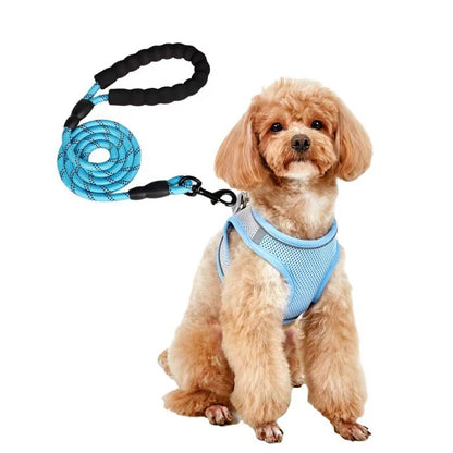 Dog Leash