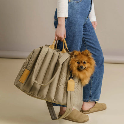 Dog Bag