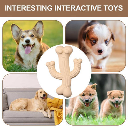 Dog Toy