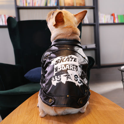 Dog clothes