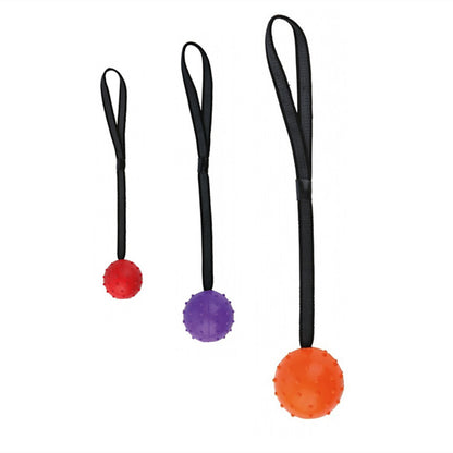 Dog Training Toy Ball
